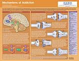 Addiction Life Science Poster