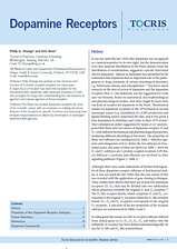 Dopamine Receptors Scientific Review