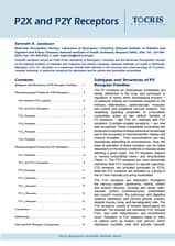 P2X and P2Y Receptors Scientific Review
